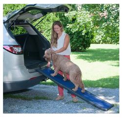 Dog Ramp 