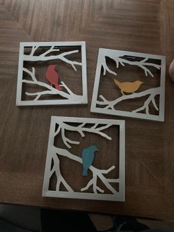 Bird frames