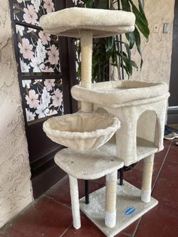 Cat Scratching Post