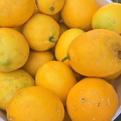 Free Free Come With A Bag 