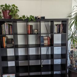 Book Shelf/ Wall Unit 