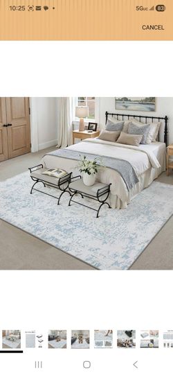 5x7 Fluffy Area Rug Blue Shag Neutral