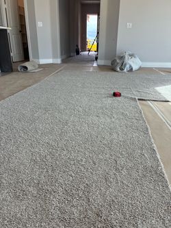 Carpet