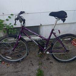 21 Speed  Bike