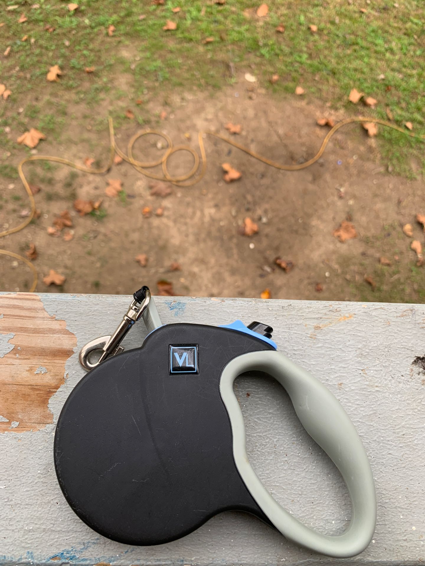 Dog Leash