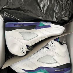 Jordan 5 Grape Size 10