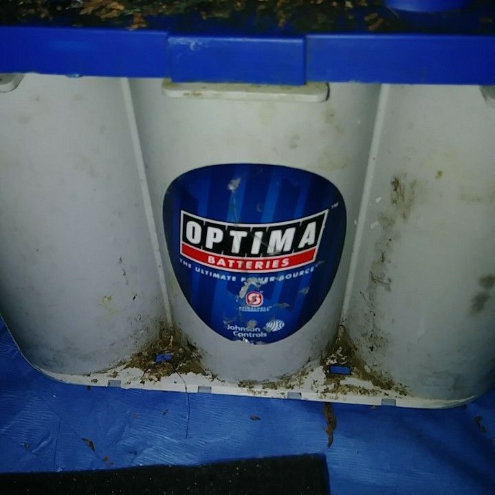 Optima battery. Still new just been sitting in garage for 3 months. Every week i ran it one time in my truck for a hour