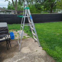 Werner 6 Ft Step Ladder 