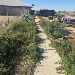 Gardening  / Clean Ups