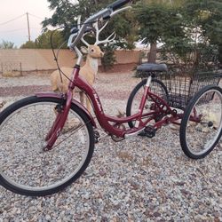 Schwinn Meridian Trike