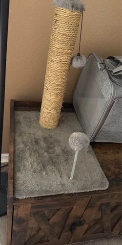 Cat scratch post