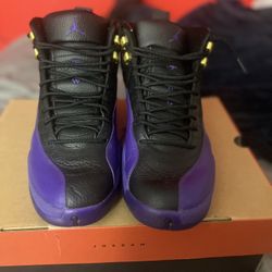 Sz13 Jordan 12s