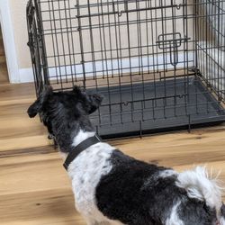 Dog Crate
