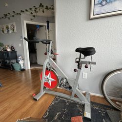 Bicicleta De Spinning Como Nueva 