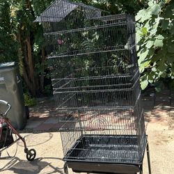 Bird Cage
