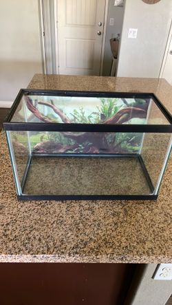 Aquarium 10 Gallon