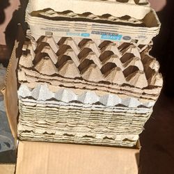 Egg Crates 