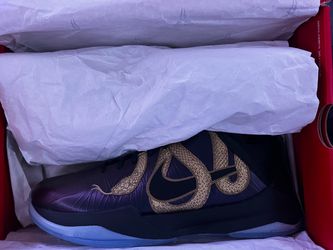 Kobe Protro V Eggplant YOTM