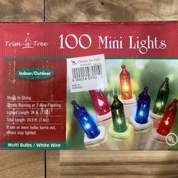 Mini Christmas Lights