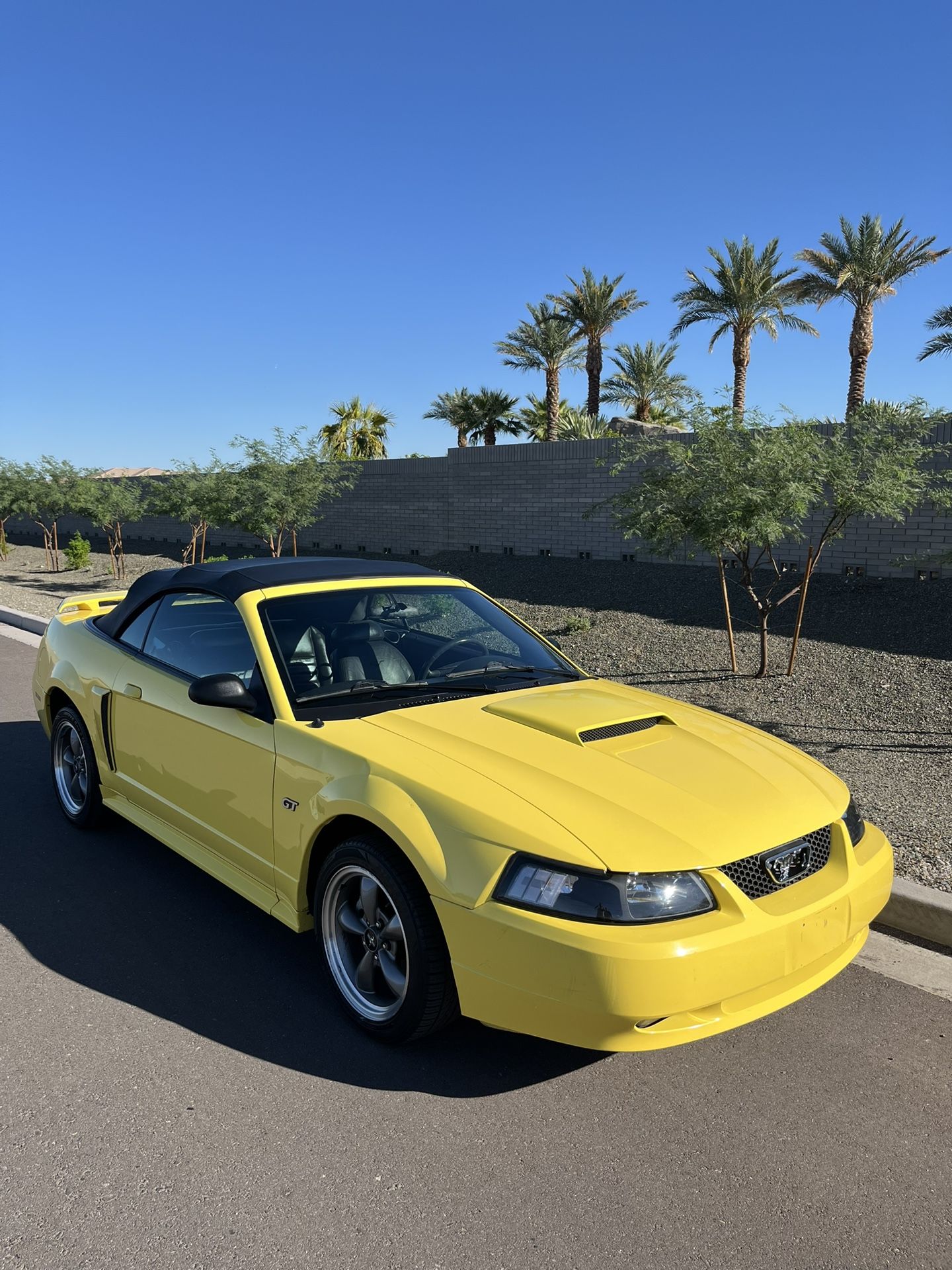 2003 Ford Mustang