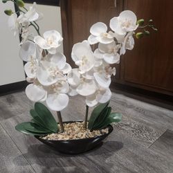 faux orchids