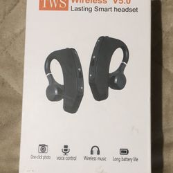 Earphones