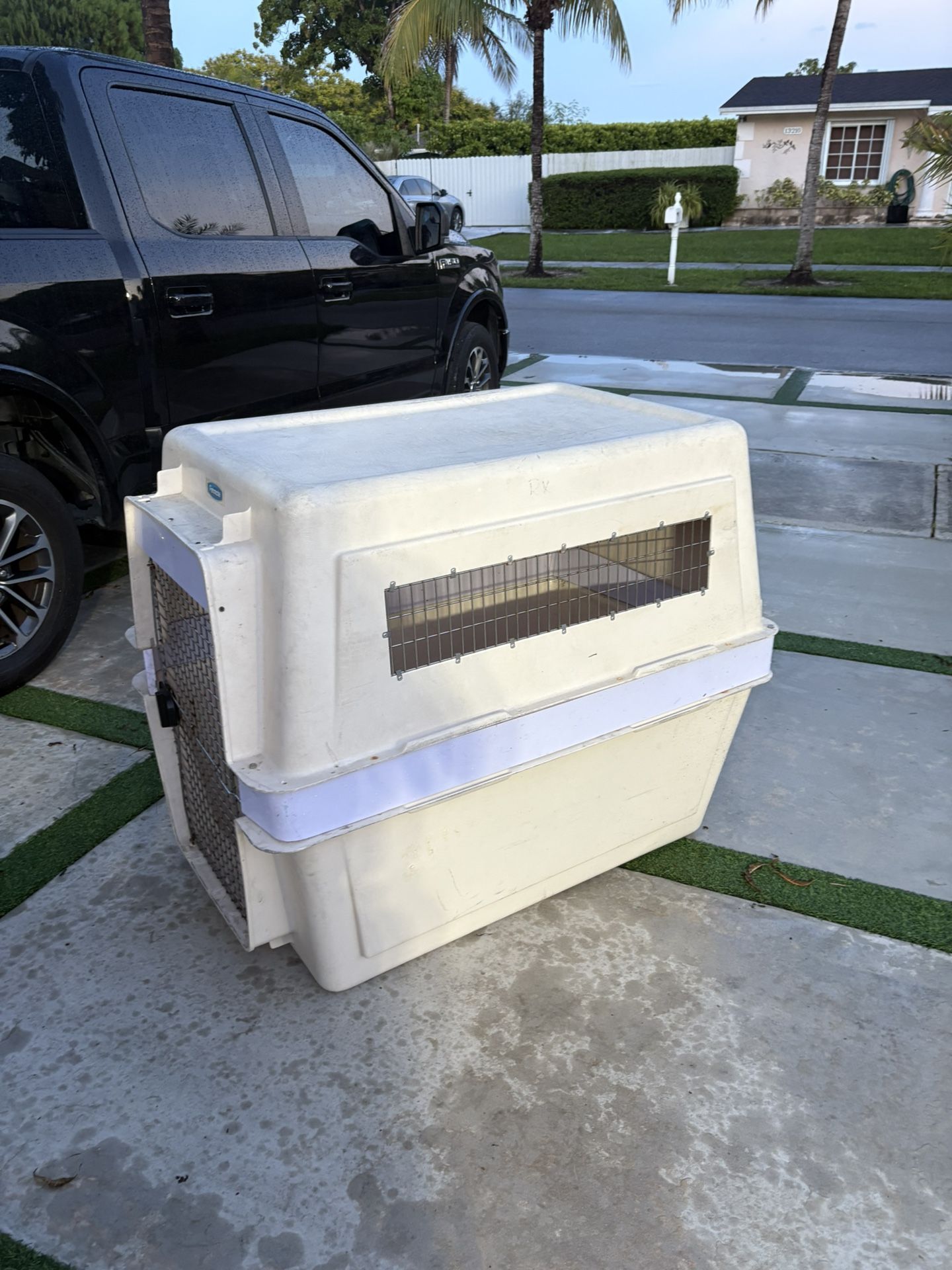 Pet Kennel Big Dog