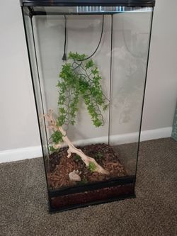 18 in x 36 in 10 gal paludarium