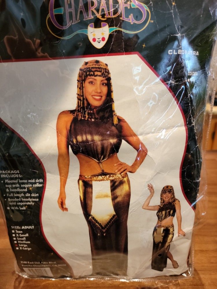 Halloween Costume