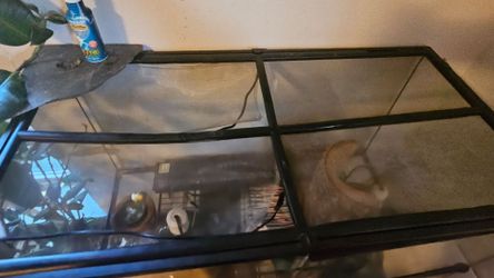 Free reptile tank