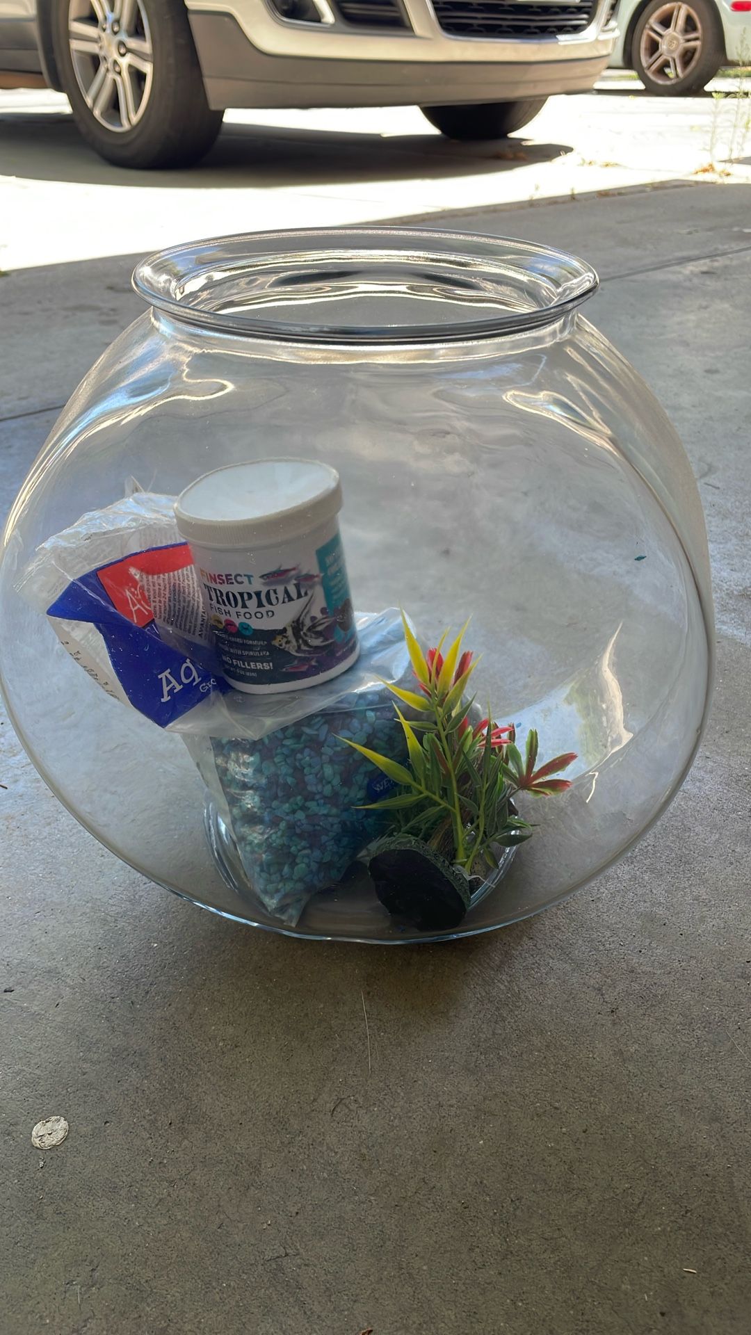 Fish Bowl And Supplies