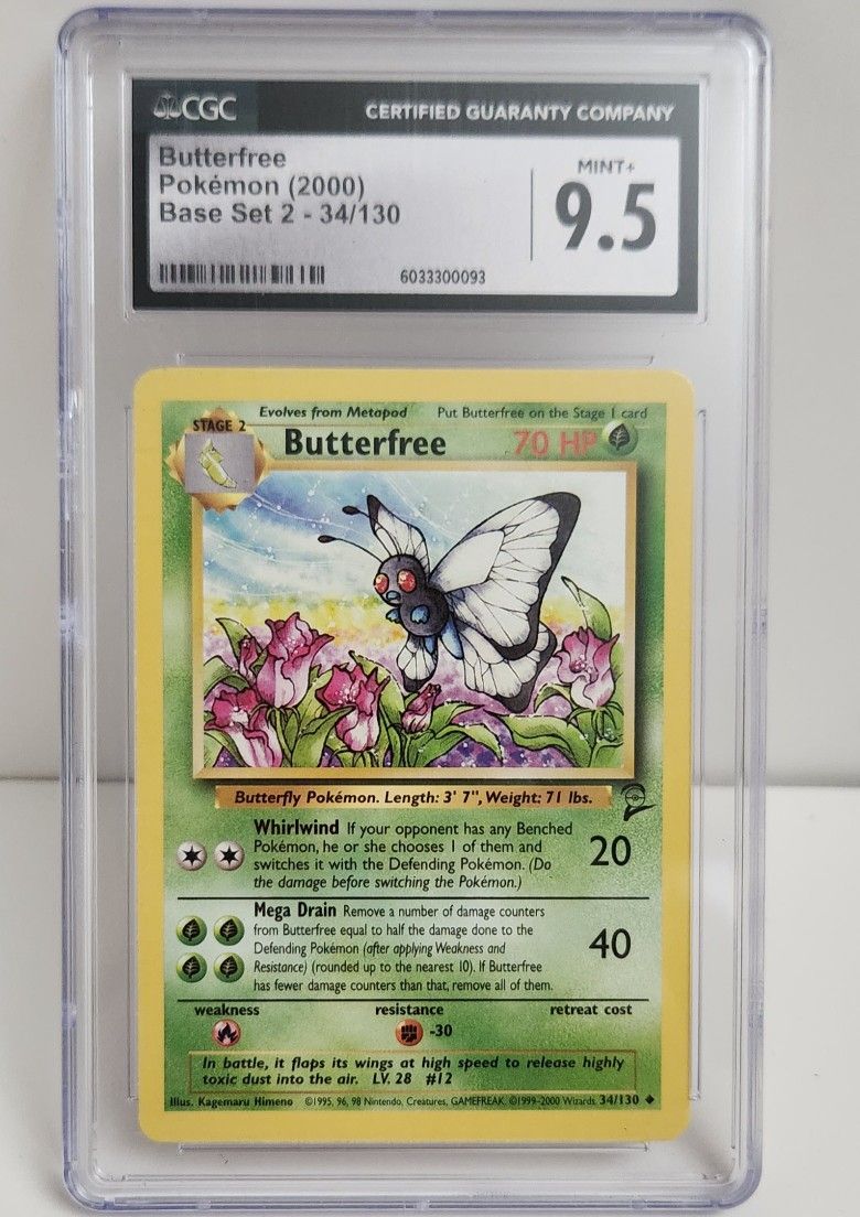Pokemon Slab Butterfree