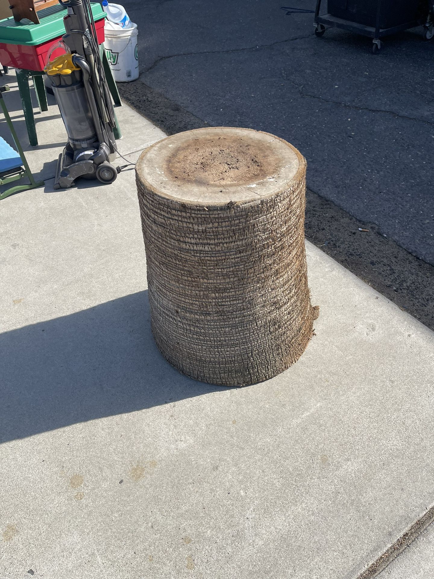 Tree Stump Super Cool 