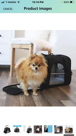 Paws & Pals Pet Carrier Airline Approved Soft-Sided Dogs Cats