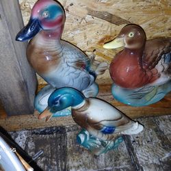 Ceramic Duck Decor 