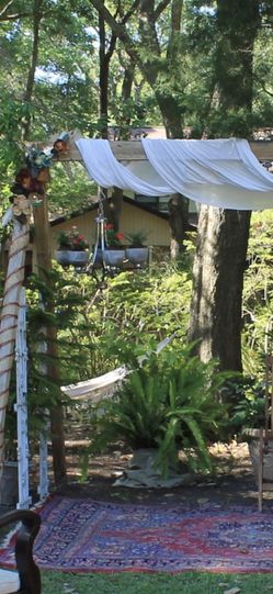 Live Plants - Perfect For Weddings / Events Decor 