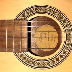 Lucero Acoustic Guitar + Roadrunner Case (Excellent Condition!) 