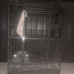 36 Wide Parrot Cage