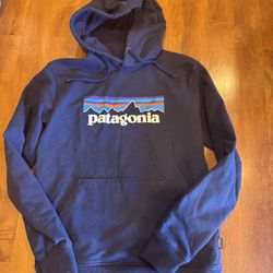 Woman’s Patagonia hoodie size small shipping available