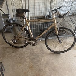 Giant 10 Speed 