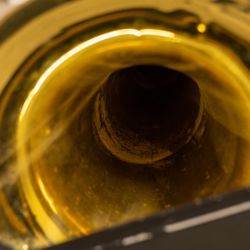 Tuba - Allora 