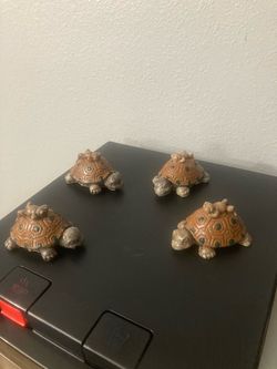 Set of 4 small cement turtles for $8
