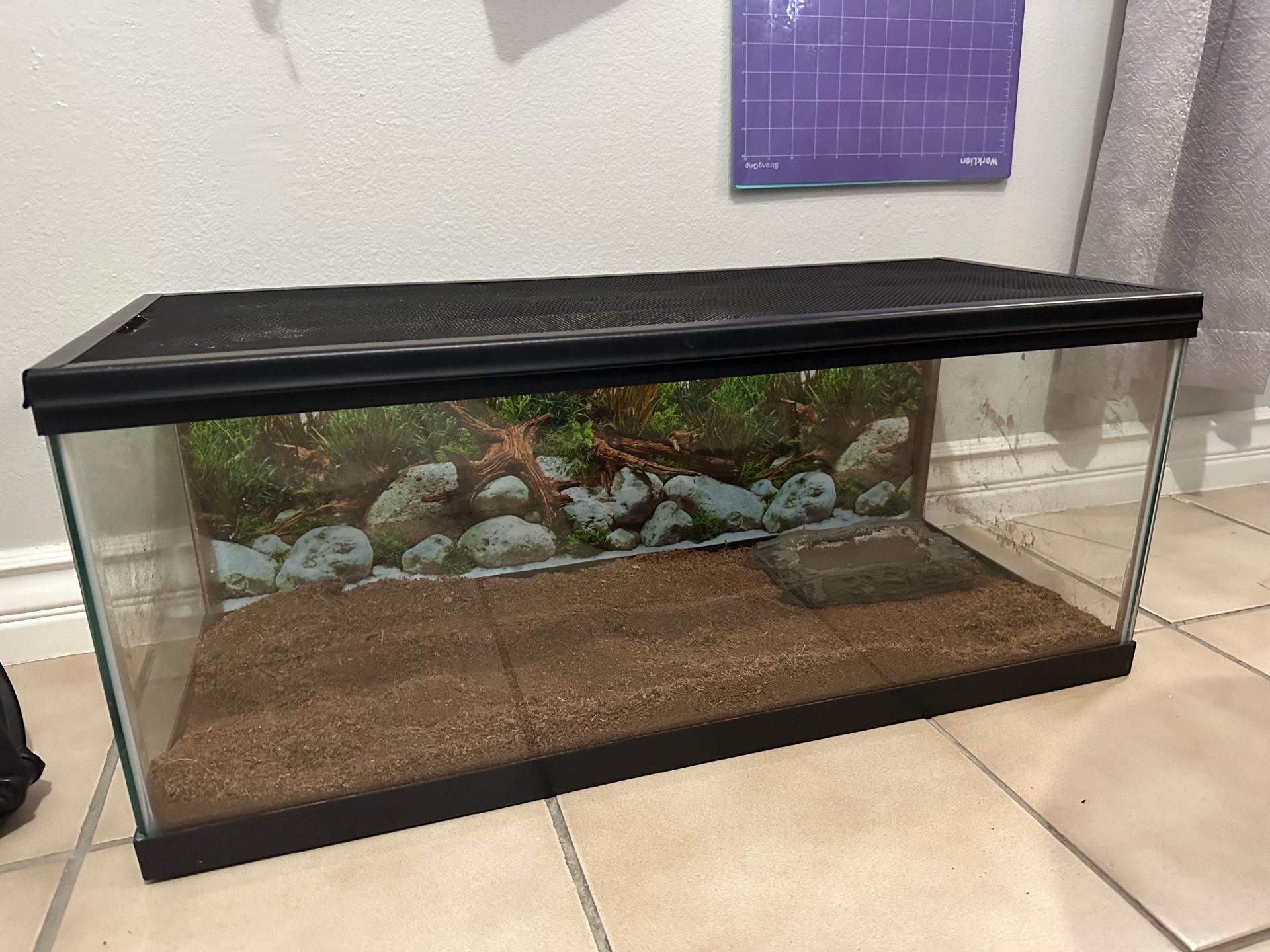 Reptile tank