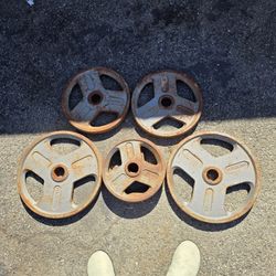 Weider Steel Plates 