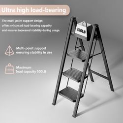 Folding Ladder 
