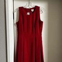 Ann Taylor Loft Red Dress