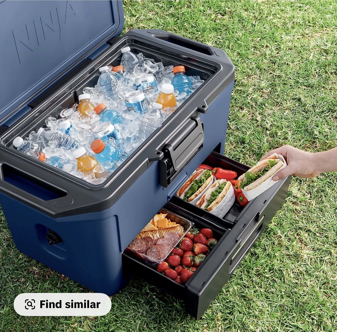 Ninja 50qt Cooler