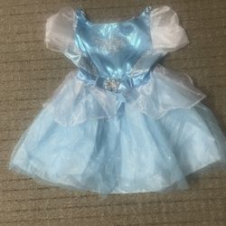 Cinderella Costume & Frozen’s Elsa Costume