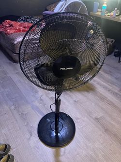 Fan