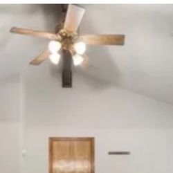 Ceiling Fan